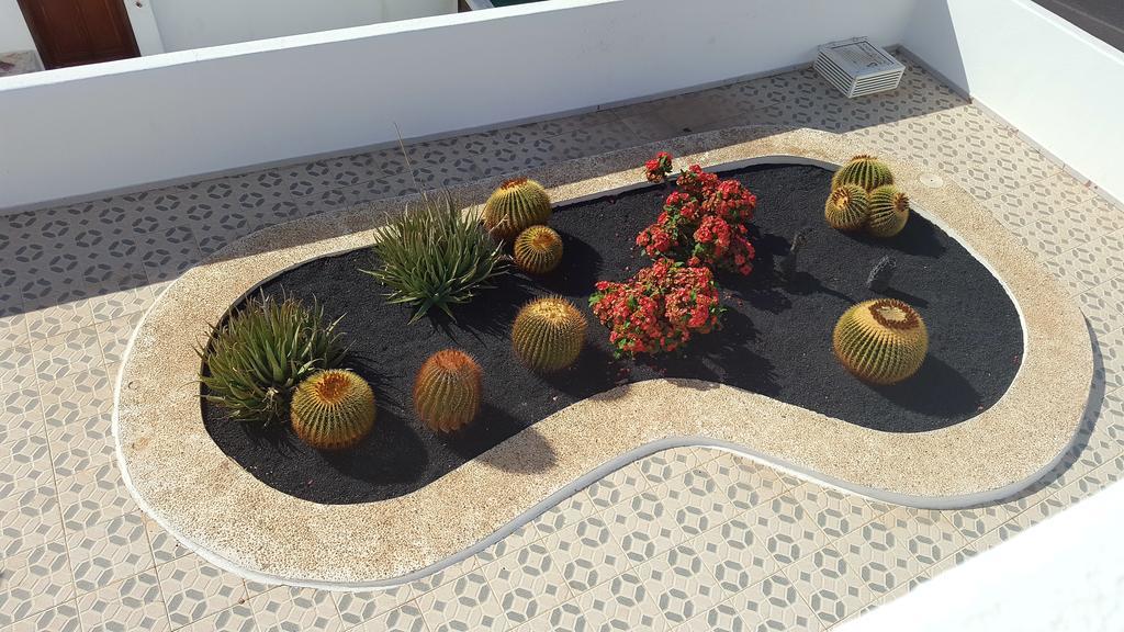 Panelo Cactus Apartment Πουέρτο Ντελ Κάρμεν Εξωτερικό φωτογραφία